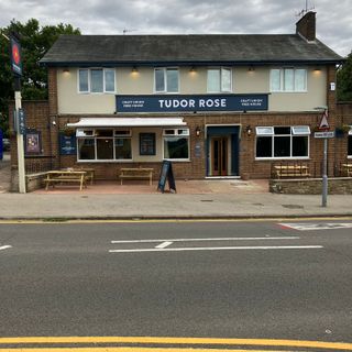Tudor Rose