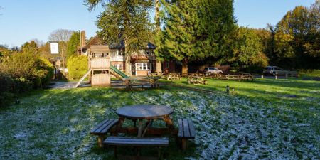 Otter Inn