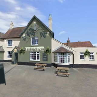 Vine