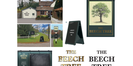 Beech Tree