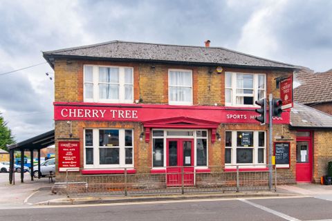 Cherry Tree