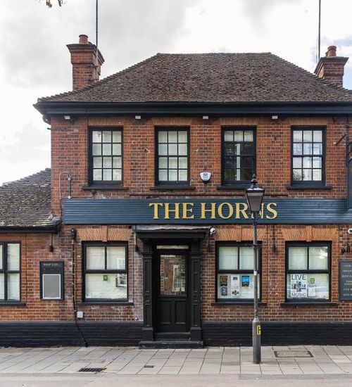 Horns