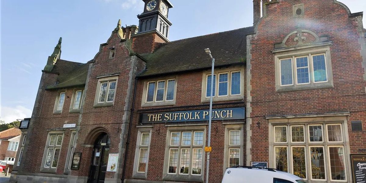 Suffolk Punch