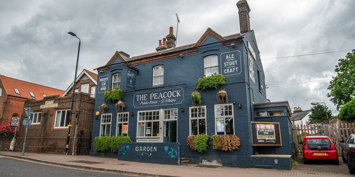 Peacock