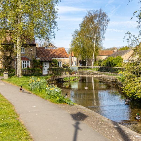 White Hart