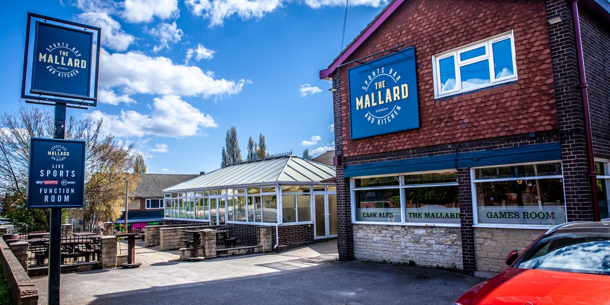 Mallard