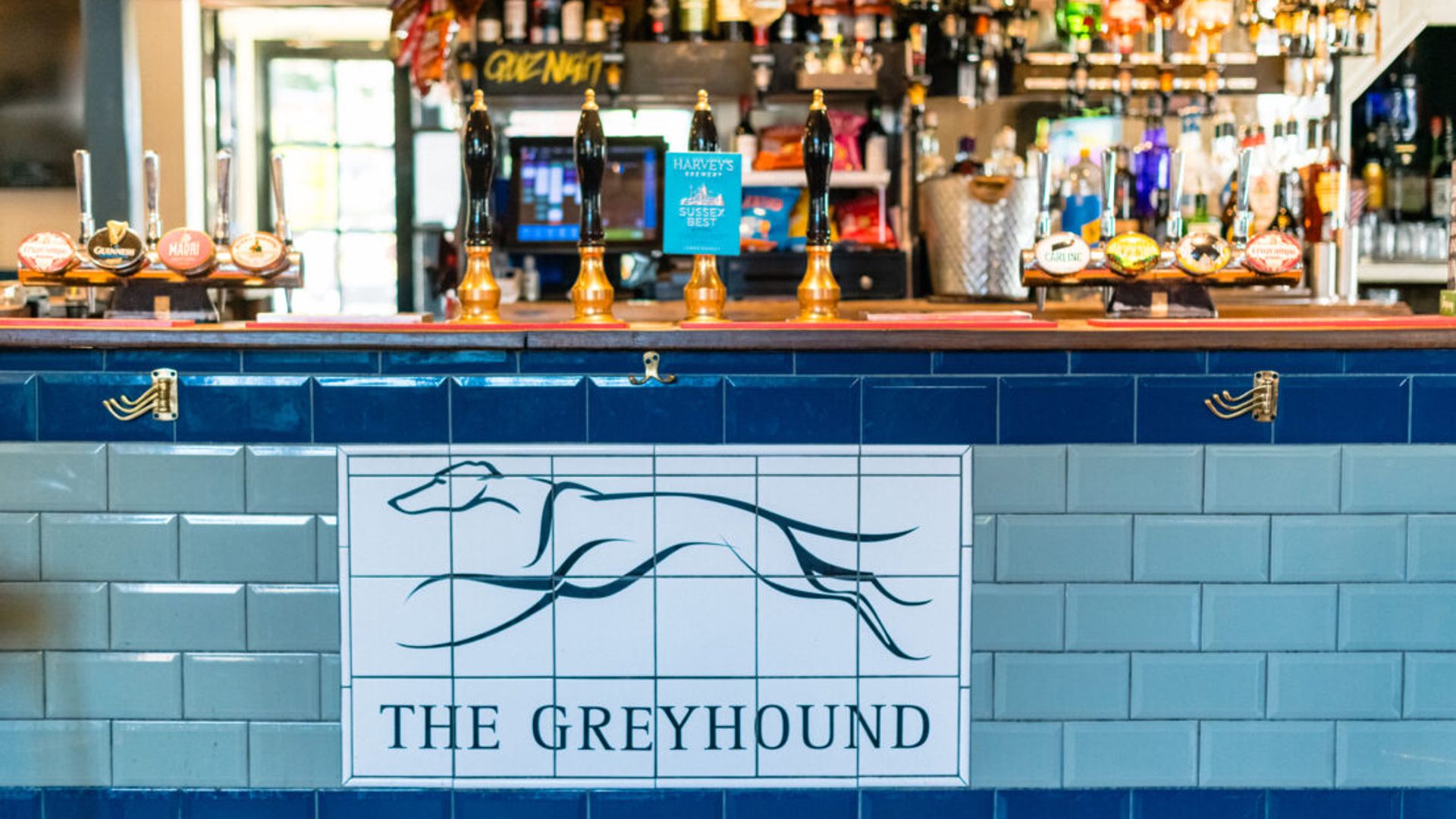 Greyhound