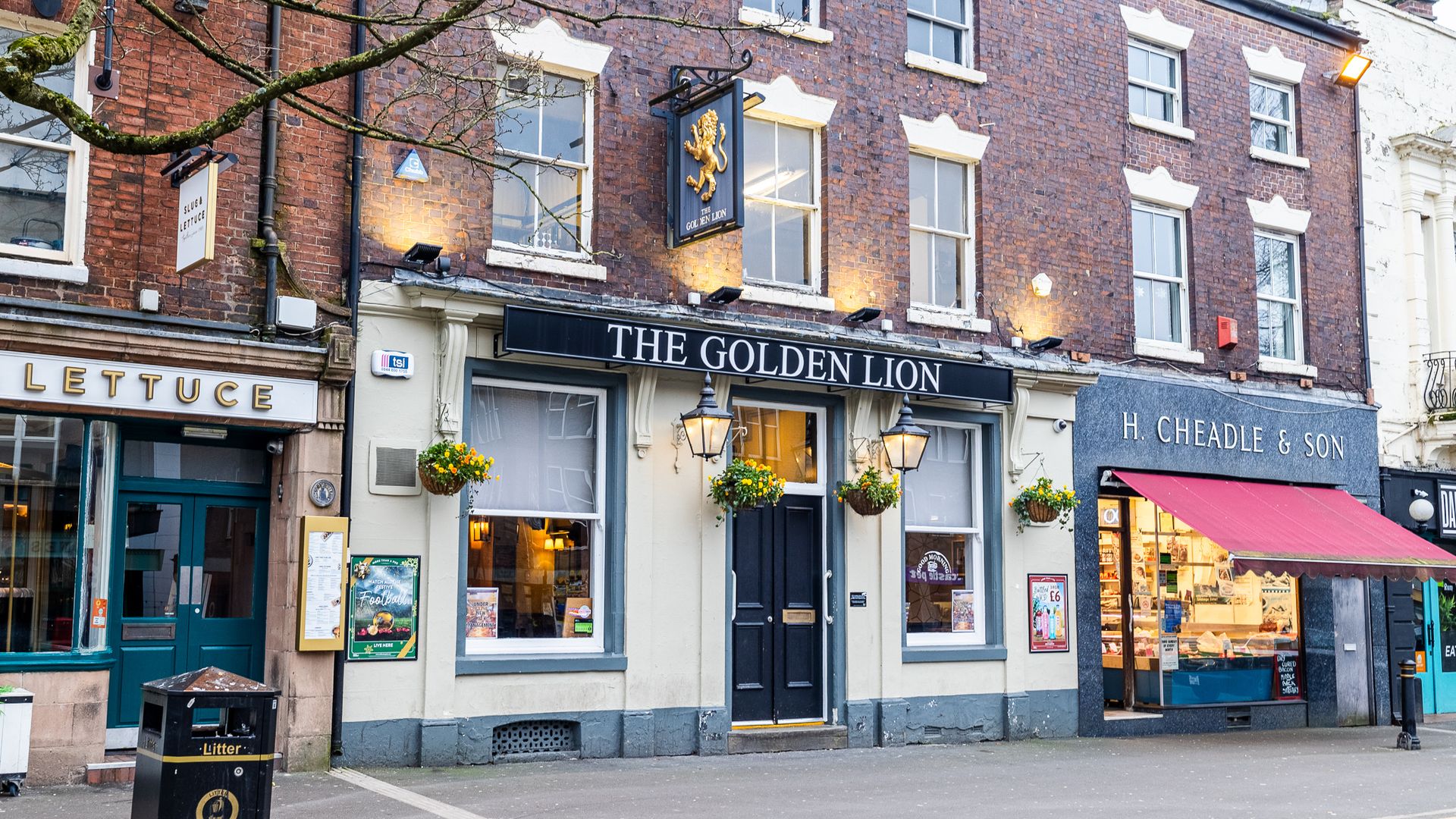 Golden Lion