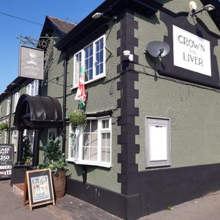 Crown & Liver