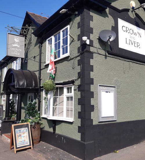 Crown & Liver