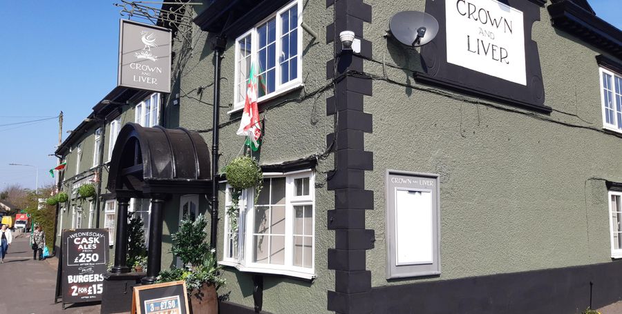 Crown & Liver