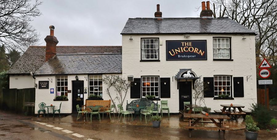 Unicorn