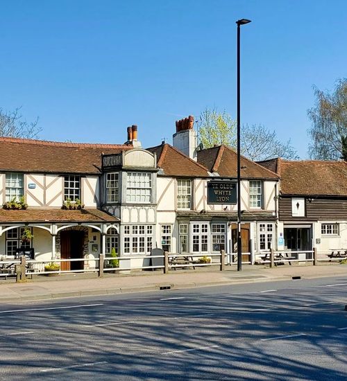 Olde Whyte Lyon
